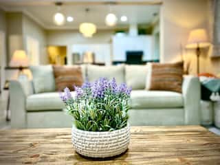 Home in Willow Glen