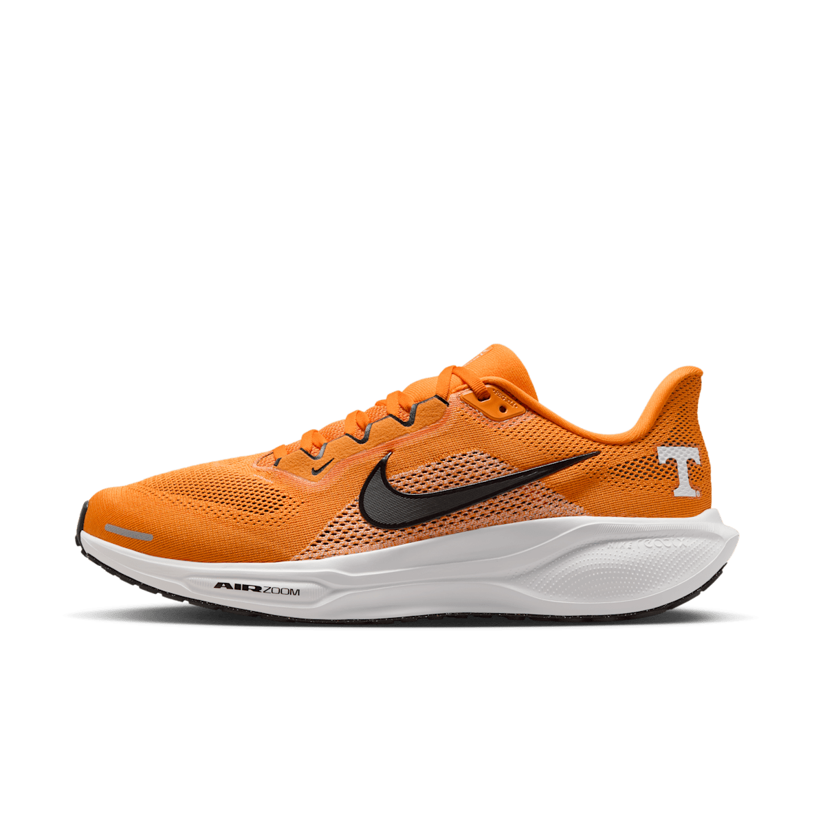 Tennessee Pegasus 41